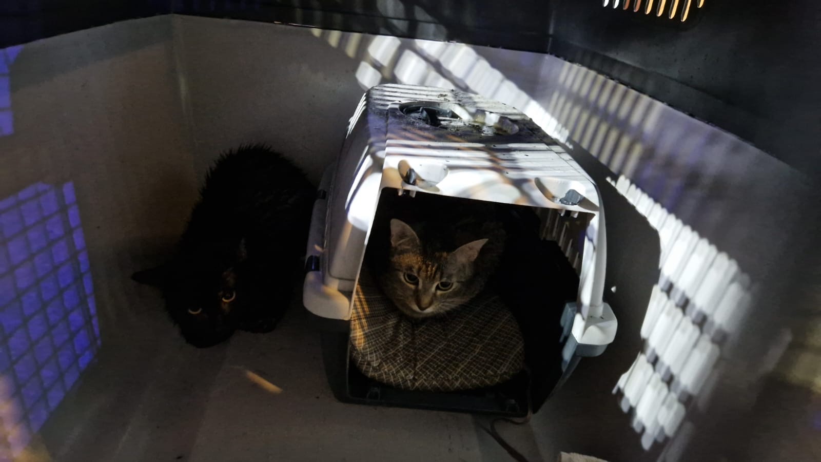 2026.03.08 BR6 Breitweg 37